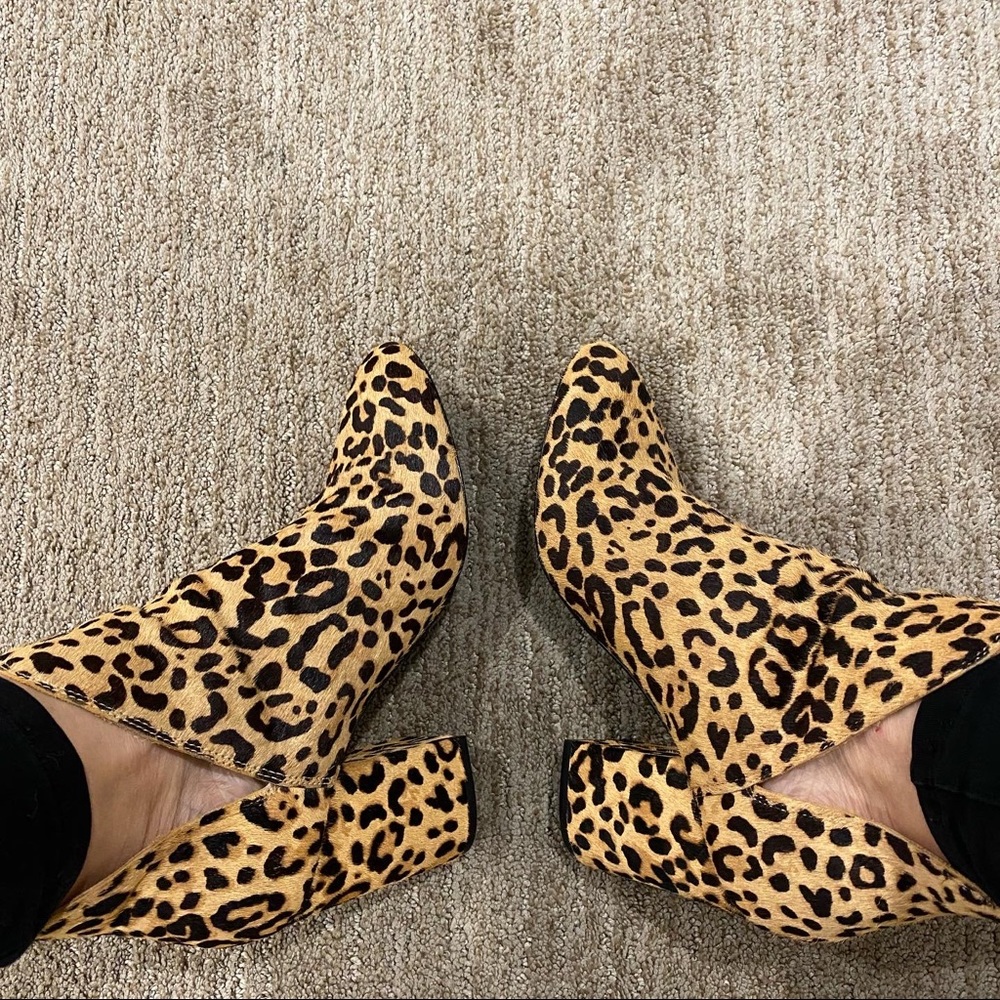 Steve Madden booties. Leopard. Size 8.5